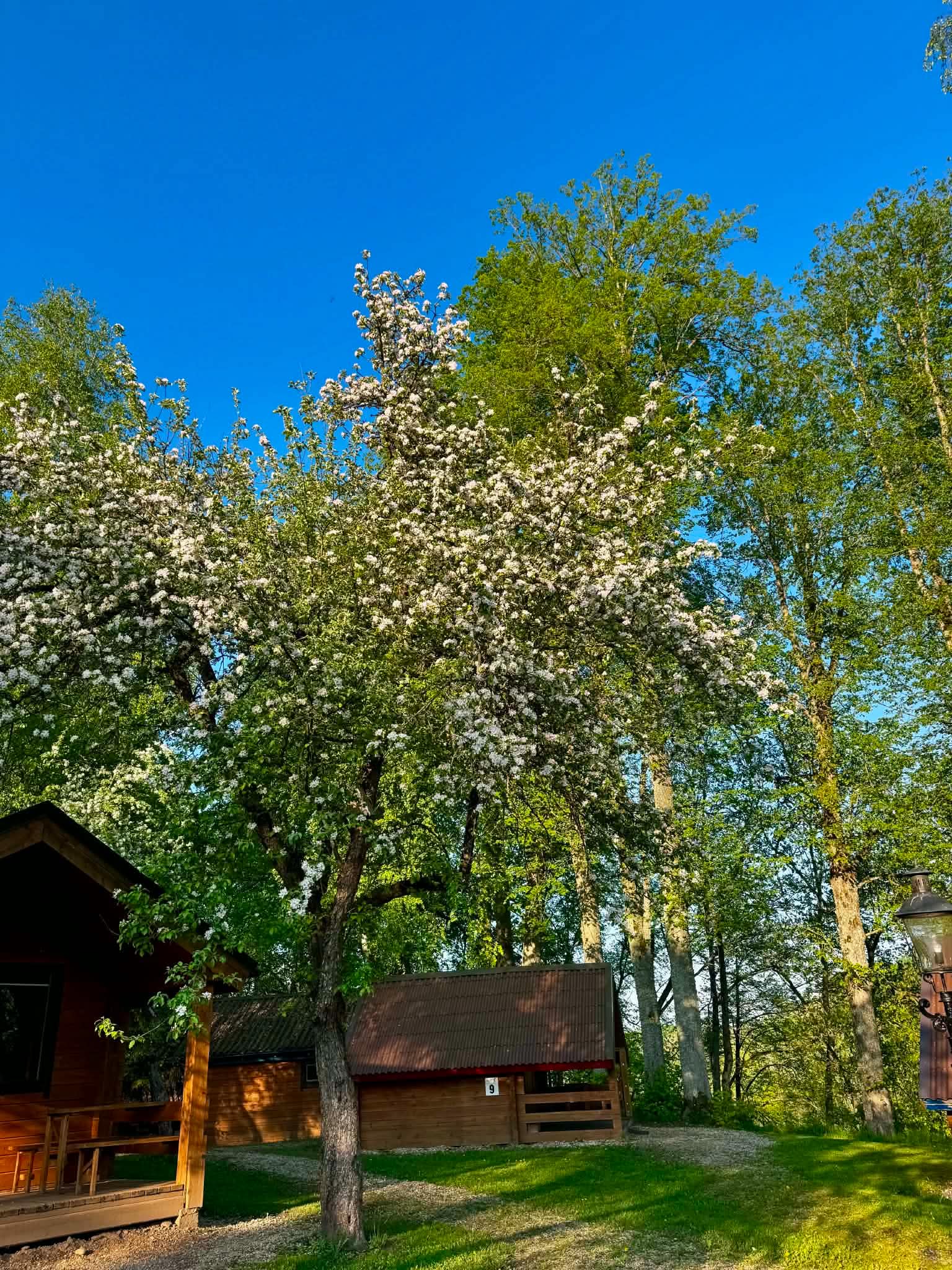 20260515_153633951_iOS.jpg